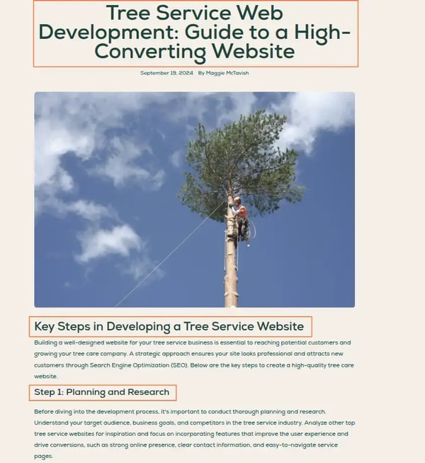 H1, H2, and H3 blog headings on a Mango Media blog