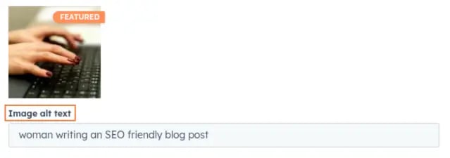 how to add image alt text